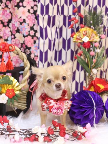 20250113モカちゃん